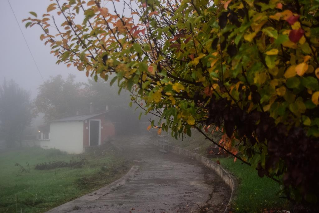 Litheon House Villa Synikia Mesi Trikalon Eksteriør billede